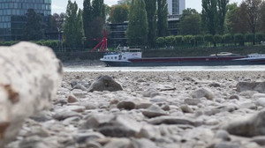 Historically low Rhine levels costing German ship operators millions