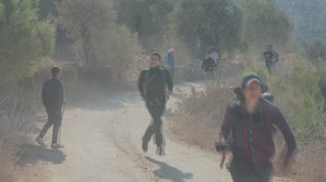 Israeli forces prevent Palestinians from reaching their olive groves in West Bank, residents say