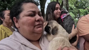 Dogs gather for blessing in Tegucigalpa during St. Francis of Assisi celebrations