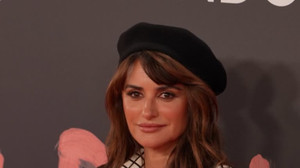 Spain housing protesters 'admirable', Penelope Cruz says