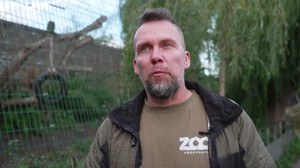 Copenhagen zoo welcomes rare Amur Leopard cub
