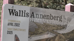 World's largest man-made wildlife crossing almost completed near Los Angeles