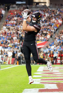 NFL: Detroit Lions at Arizona Cardinals