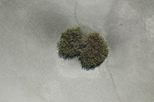 Climate and overuse dry up Greece's protected Lake Koroneia