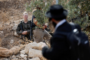 Harvest season, in Palestinian-owned olive groves in the town of Idhna, near Hebron