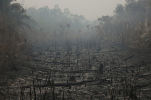 Wildfires in the Amazon Rainforest are on the rise due to the dry season and extreme heat in Autazes