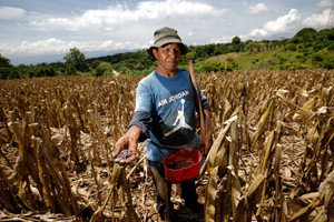 Salvadoran Assembly declares a state of national emergency due to El Nino