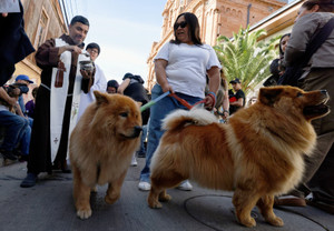 Bleessings of pets in Valparaiso