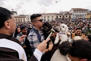 Devotees take their pets for blessing during Saint Francis of Assisi celebrations in Quito