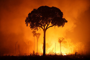 Wildfires in the Amazon Rainforest are on the rise due to the dry season and extreme heat in Autazes