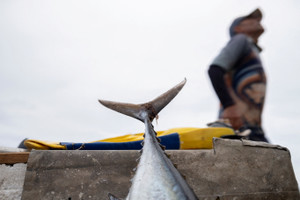 Fishermen in Banes, Cuba